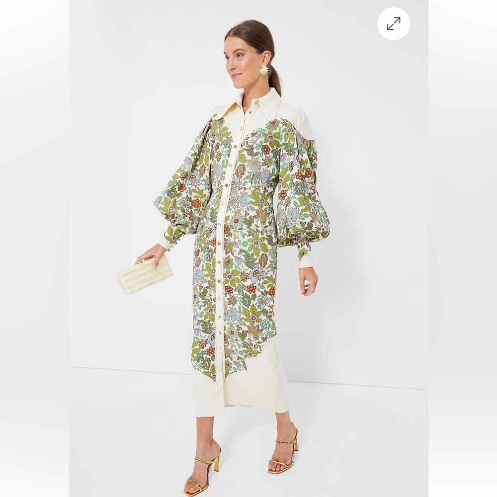 Alemais Isabella Panel dress